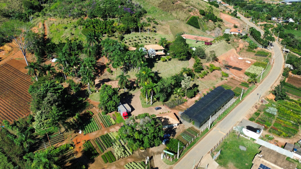 Fruticultura Plantar Aérea